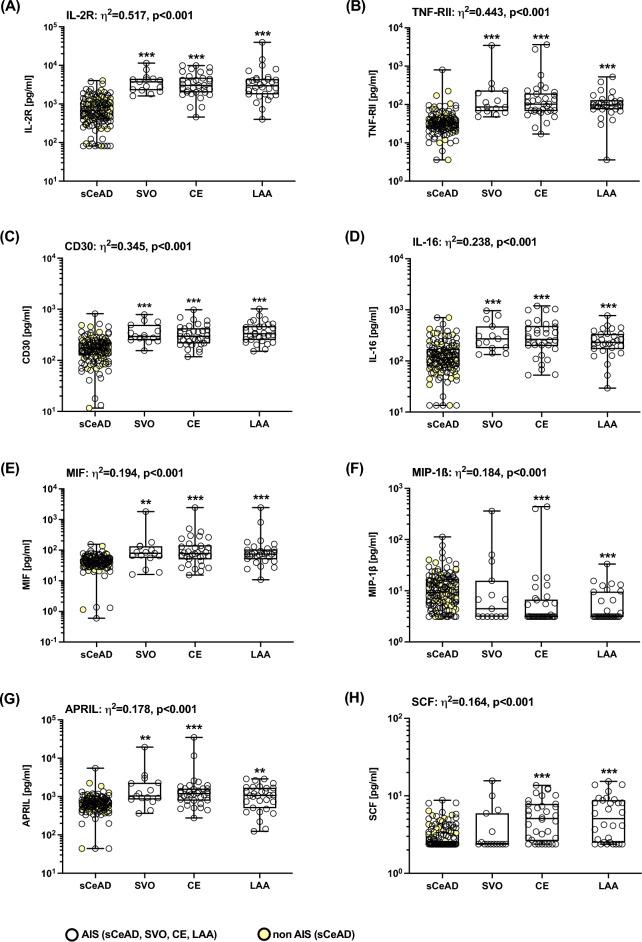 https://cdn.ncbi.nlm.nih.gov/pmc/blobs/8357/11130263/e239c5242be0/41598_2024_62557_Fig4_HTML.jpg