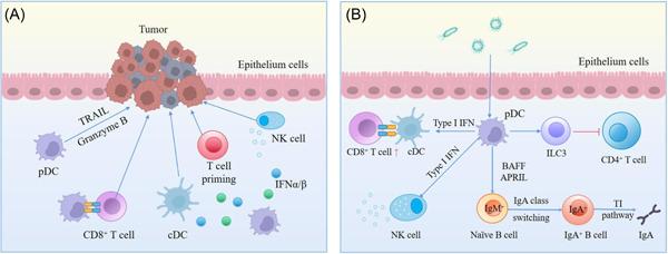 https://cdn.ncbi.nlm.nih.gov/pmc/blobs/835a/10510335/b14fcfd49774/IID3-11-e1005-g001.jpg