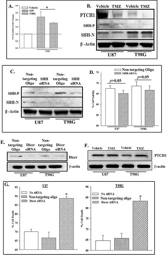 https://cdn.ncbi.nlm.nih.gov/pmc/blobs/835a/4359226/035a1a6740fa/oncotarget-06-1190-g001.jpg