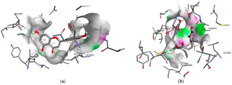 https://cdn.ncbi.nlm.nih.gov/pmc/blobs/835b/11768821/e4d5a7812b46/plants-14-00289-g007.jpg