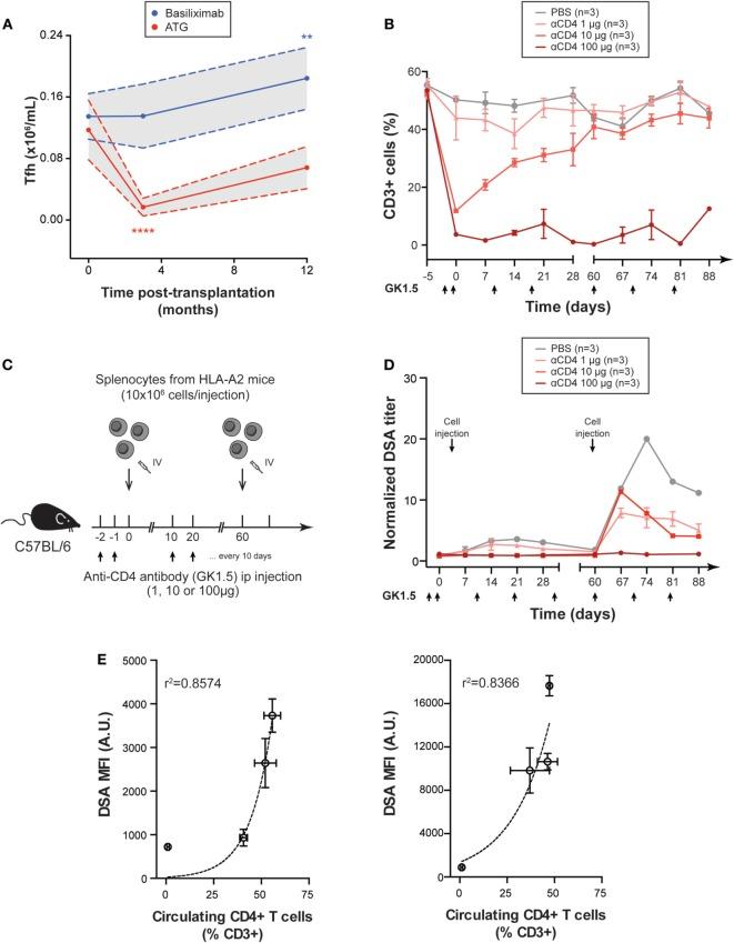 https://cdn.ncbi.nlm.nih.gov/pmc/blobs/835c/5825980/1be9ccb15116/fimmu-09-00275-g005.jpg