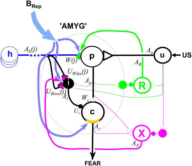 https://cdn.ncbi.nlm.nih.gov/pmc/blobs/835e/8359206/b7b7282eaad8/HIPO-31-790-g011.jpg