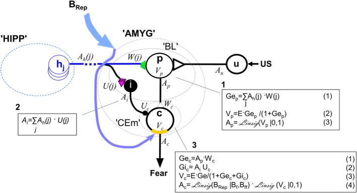 https://cdn.ncbi.nlm.nih.gov/pmc/blobs/835e/8359206/e47730c06ad0/HIPO-31-790-g009.jpg