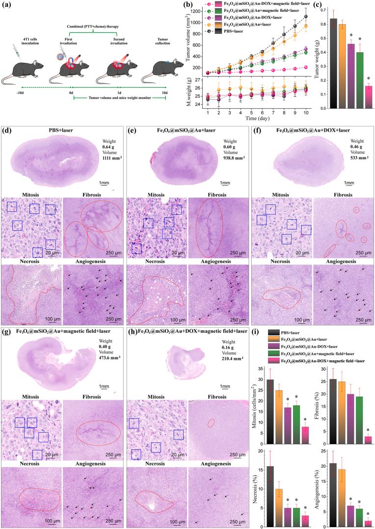 https://cdn.ncbi.nlm.nih.gov/pmc/blobs/835f/11697064/19078ebaf6f8/gr6.jpg