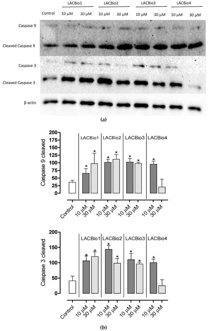 https://cdn.ncbi.nlm.nih.gov/pmc/blobs/835f/8347180/b907054c774e/molecules-26-04414-g005.jpg