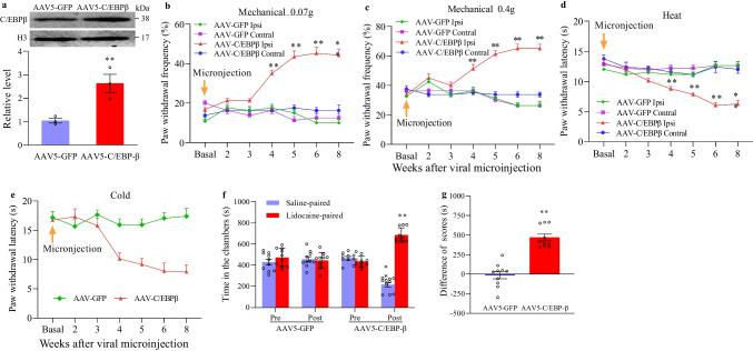 https://cdn.ncbi.nlm.nih.gov/pmc/blobs/835f/9016012/abfebc54d6c5/12035_2022_2763_Fig4_HTML.jpg