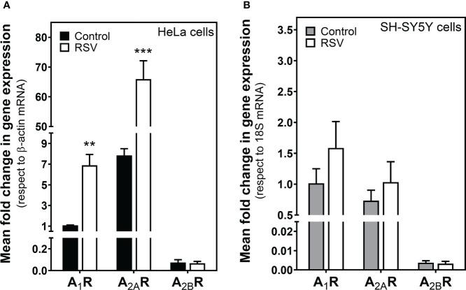 https://cdn.ncbi.nlm.nih.gov/pmc/blobs/8360/9669387/36b5b4ca68fb/fendo-13-1007801-g003.jpg