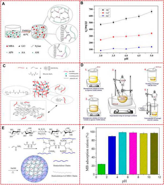 https://cdn.ncbi.nlm.nih.gov/pmc/blobs/8361/9868175/898a3ab4c240/fbioe-10-1110004-g003.jpg