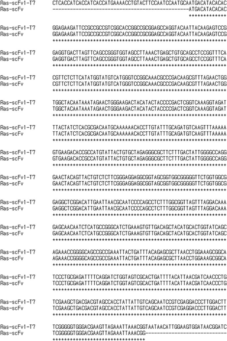 https://cdn.ncbi.nlm.nih.gov/pmc/blobs/8363/8531465/0c4cce69bf8c/gr2.jpg