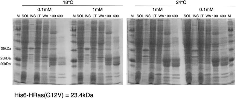 https://cdn.ncbi.nlm.nih.gov/pmc/blobs/8363/8531465/19ba681e68a6/gr5.jpg