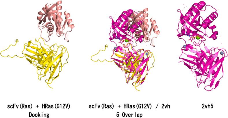 https://cdn.ncbi.nlm.nih.gov/pmc/blobs/8363/8531465/23c00fed8426/gr1.jpg