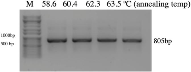https://cdn.ncbi.nlm.nih.gov/pmc/blobs/8363/8531465/4f3f050ca27e/gr4.jpg