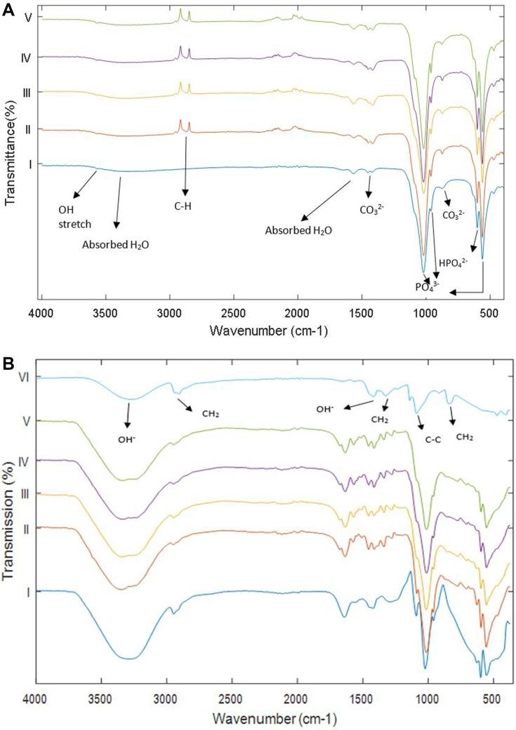 https://cdn.ncbi.nlm.nih.gov/pmc/blobs/8367/6779593/44c7cf310aa2/IJN-14-7947-g0003.jpg