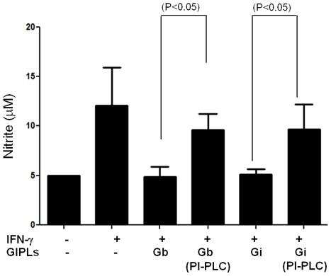 https://cdn.ncbi.nlm.nih.gov/pmc/blobs/8368/3289616/0fae985bd104/pntd.0001543.g005.jpg