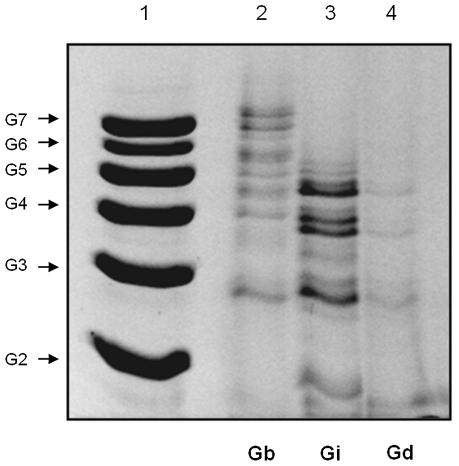 https://cdn.ncbi.nlm.nih.gov/pmc/blobs/8368/3289616/c8f592f35f03/pntd.0001543.g008.jpg