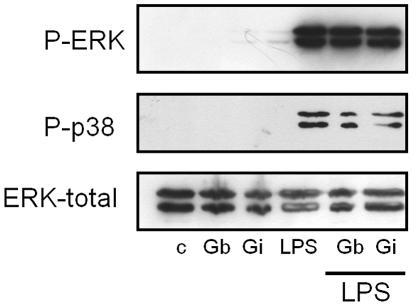 https://cdn.ncbi.nlm.nih.gov/pmc/blobs/8368/3289616/edd38c7ea1fa/pntd.0001543.g006.jpg