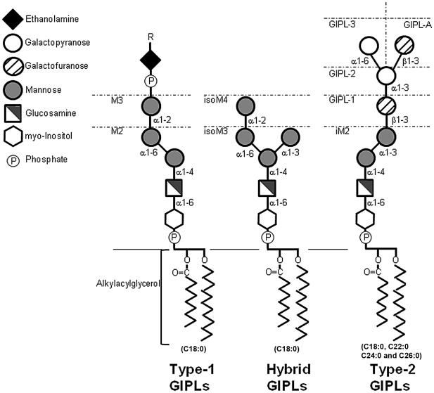 https://cdn.ncbi.nlm.nih.gov/pmc/blobs/8368/3289616/f78cc7b8eed8/pntd.0001543.g001.jpg
