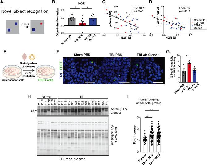 https://cdn.ncbi.nlm.nih.gov/pmc/blobs/8369/11197196/61a693d49abe/13024_2024_733_Fig6_HTML.jpg