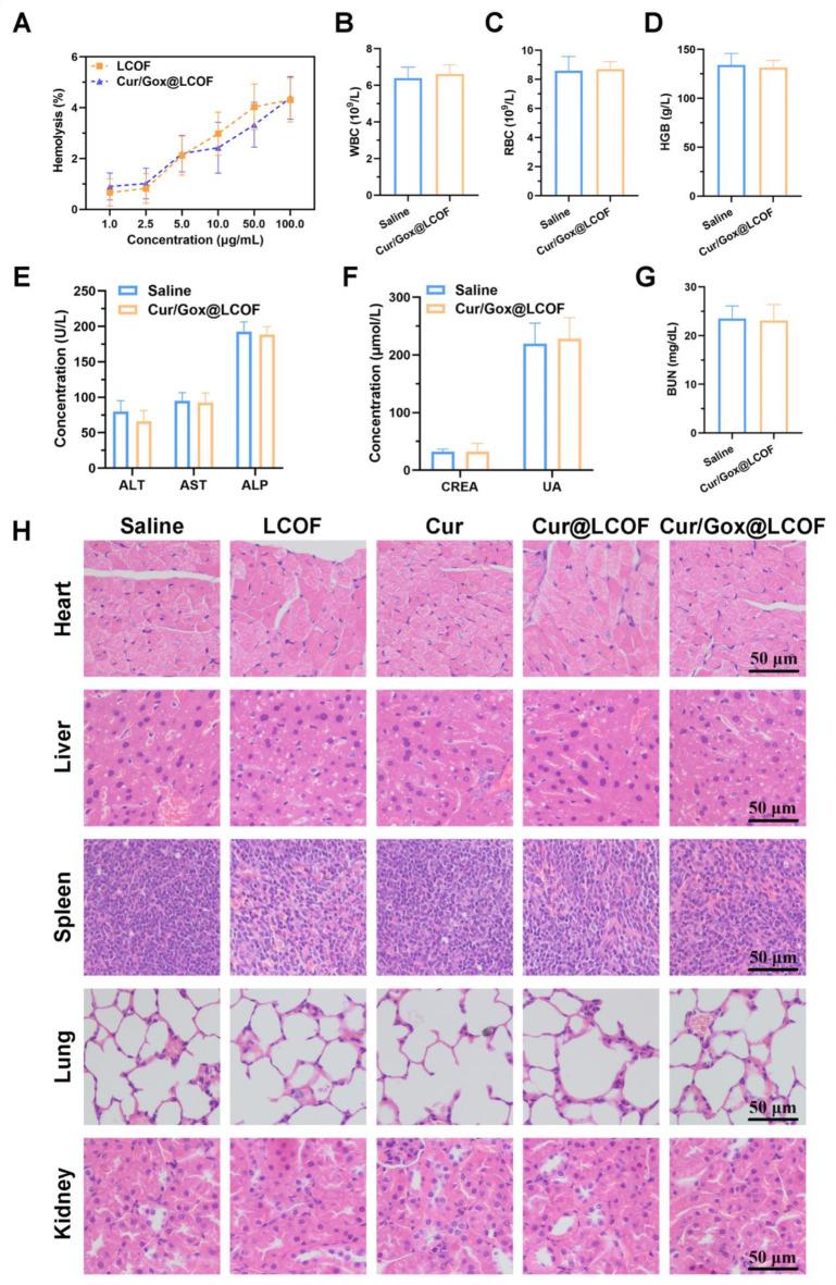 https://cdn.ncbi.nlm.nih.gov/pmc/blobs/8369/11928539/134cc8c77cc5/41598_2025_94393_Fig7_HTML.jpg