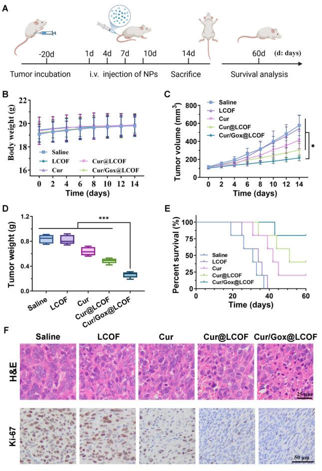 https://cdn.ncbi.nlm.nih.gov/pmc/blobs/8369/11928539/31b028032d74/41598_2025_94393_Fig6_HTML.jpg