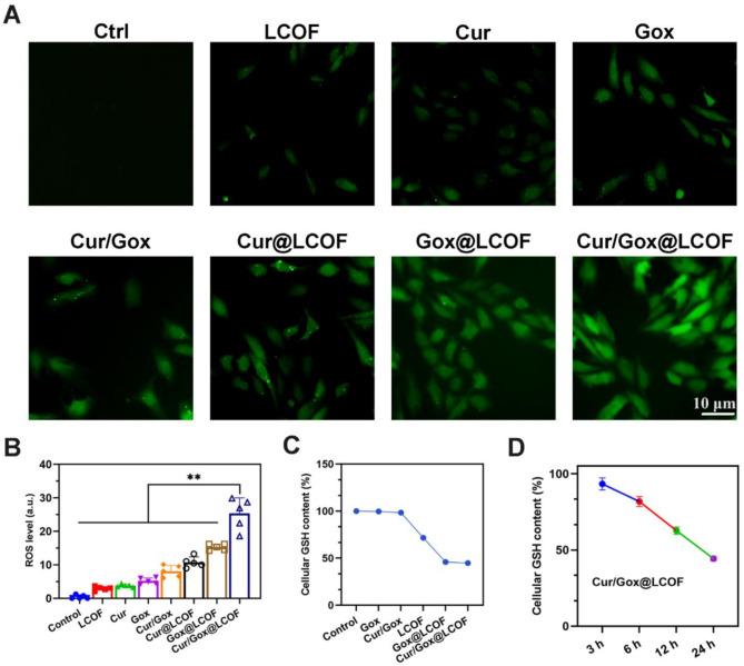 https://cdn.ncbi.nlm.nih.gov/pmc/blobs/8369/11928539/685daf9c1943/41598_2025_94393_Fig5_HTML.jpg
