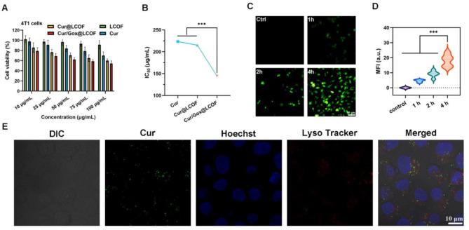 https://cdn.ncbi.nlm.nih.gov/pmc/blobs/8369/11928539/83cff7a39eab/41598_2025_94393_Fig4_HTML.jpg