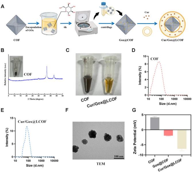 https://cdn.ncbi.nlm.nih.gov/pmc/blobs/8369/11928539/b1cb68066b0a/41598_2025_94393_Fig2_HTML.jpg