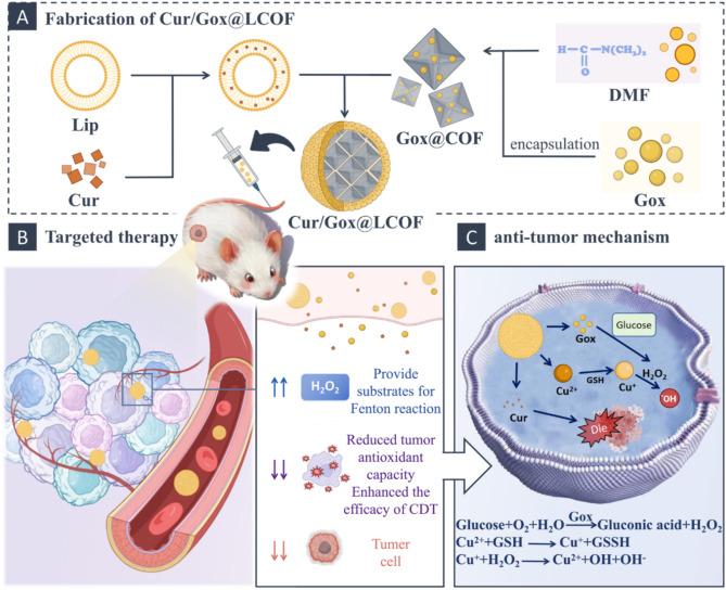 https://cdn.ncbi.nlm.nih.gov/pmc/blobs/8369/11928539/d3a2a7252ca9/41598_2025_94393_Fig1_HTML.jpg