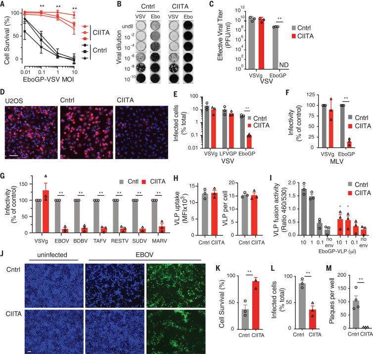 https://cdn.ncbi.nlm.nih.gov/pmc/blobs/8369/7665841/1a8cfd5e682c/370_241_F2.jpg