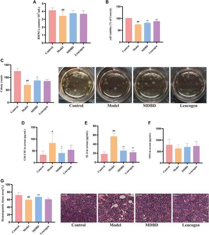 https://cdn.ncbi.nlm.nih.gov/pmc/blobs/836a/10434993/1fcf494a1c05/fphar-14-1178724-g003.jpg