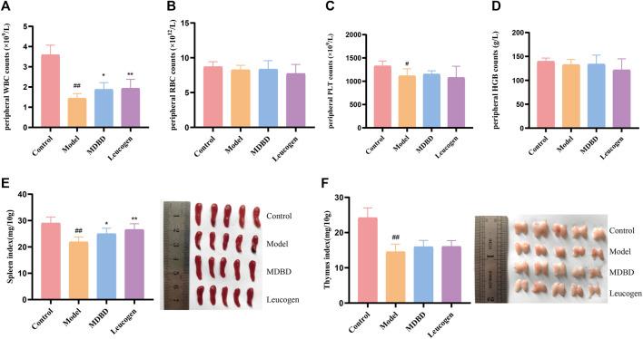 https://cdn.ncbi.nlm.nih.gov/pmc/blobs/836a/10434993/b01e32b6fe77/fphar-14-1178724-g002.jpg