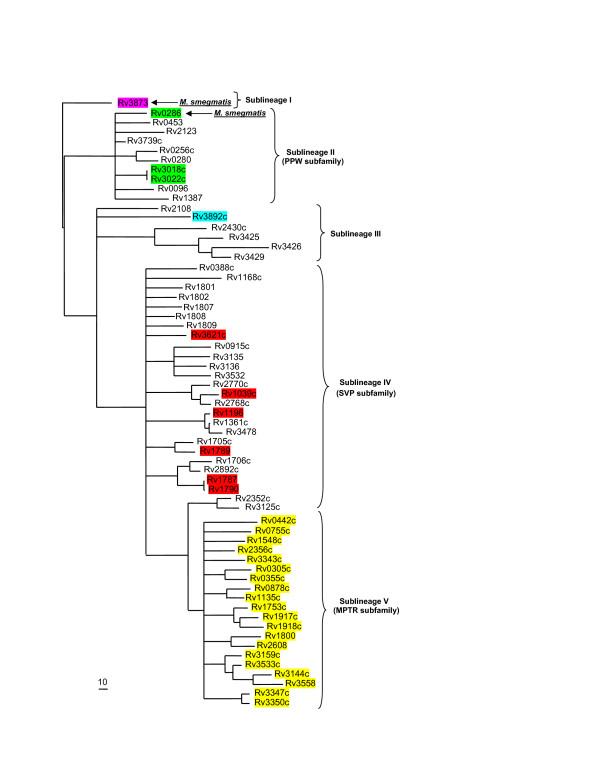https://cdn.ncbi.nlm.nih.gov/pmc/blobs/836b/1660551/00d7cfeea409/1471-2148-6-95-6.jpg