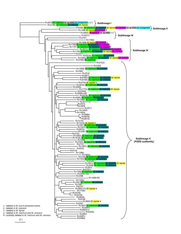 https://cdn.ncbi.nlm.nih.gov/pmc/blobs/836b/1660551/447f55615c6b/1471-2148-6-95-7.jpg