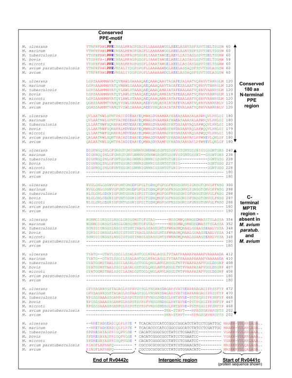 https://cdn.ncbi.nlm.nih.gov/pmc/blobs/836b/1660551/482dddf478d6/1471-2148-6-95-9.jpg