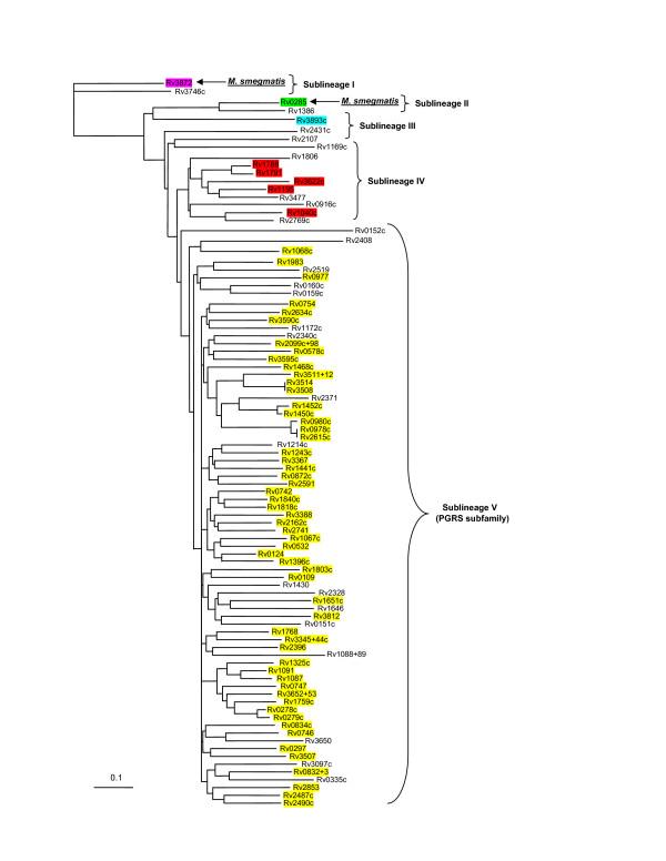 https://cdn.ncbi.nlm.nih.gov/pmc/blobs/836b/1660551/6c6f07f3b58b/1471-2148-6-95-5.jpg