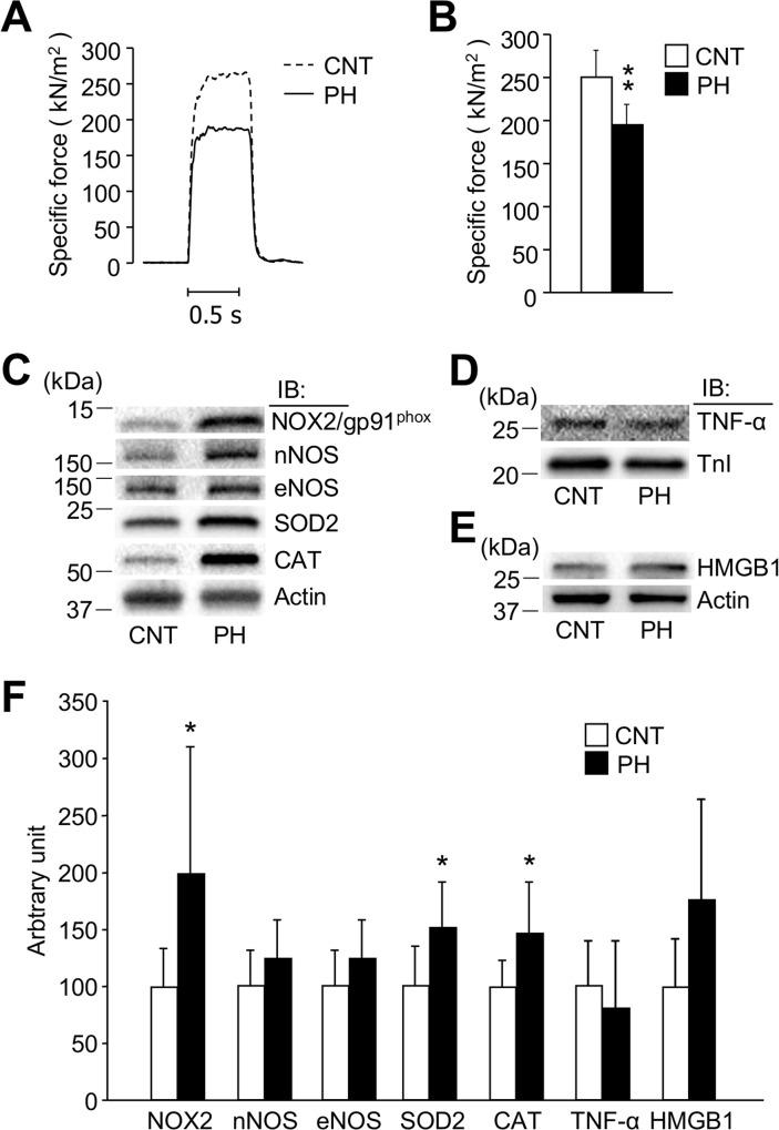 https://cdn.ncbi.nlm.nih.gov/pmc/blobs/836b/5289453/e0ca7f985601/pone.0169146.g001.jpg