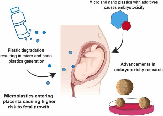 https://cdn.ncbi.nlm.nih.gov/pmc/blobs/836d/11914762/7a3df56161b5/ga1.jpg