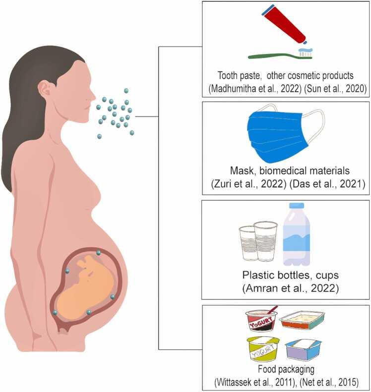 https://cdn.ncbi.nlm.nih.gov/pmc/blobs/836d/11914762/897165c3f96d/gr4.jpg