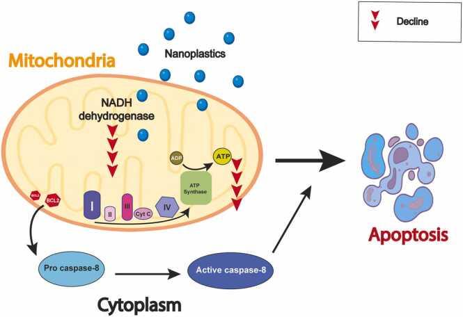 https://cdn.ncbi.nlm.nih.gov/pmc/blobs/836d/11914762/a406f6108297/gr5.jpg