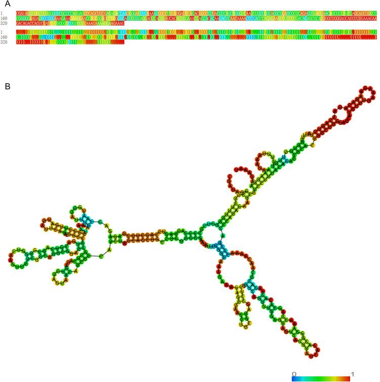 https://cdn.ncbi.nlm.nih.gov/pmc/blobs/836f/10612484/10cf9a740f47/OTT-16-849-g0001.jpg
