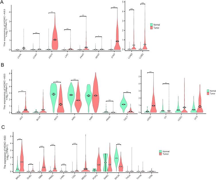 https://cdn.ncbi.nlm.nih.gov/pmc/blobs/836f/10612484/d8cbc12a25b9/OTT-16-849-g0003.jpg
