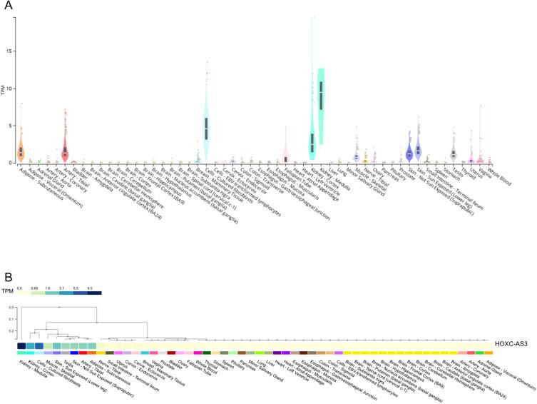 https://cdn.ncbi.nlm.nih.gov/pmc/blobs/836f/10612484/fbf78717467d/OTT-16-849-g0002.jpg