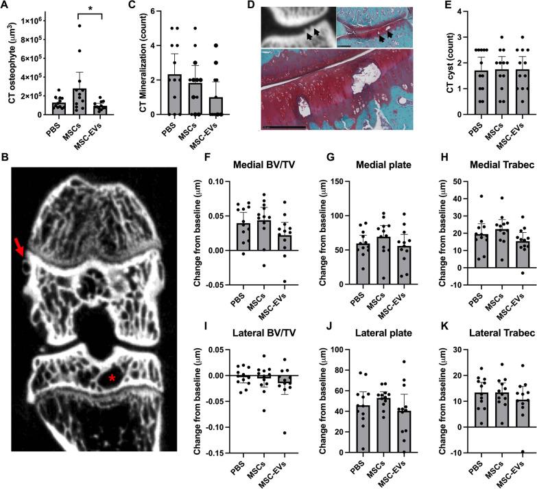 https://cdn.ncbi.nlm.nih.gov/pmc/blobs/8373/10210425/2ca1cf4bf4d8/13287_2023_3368_Fig2_HTML.jpg