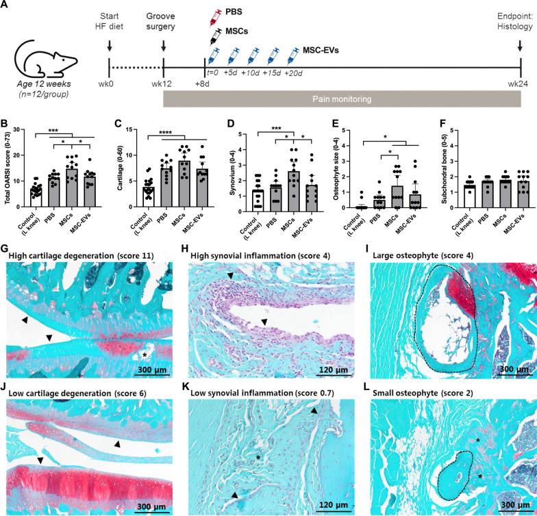https://cdn.ncbi.nlm.nih.gov/pmc/blobs/8373/10210425/d4ca3b23fd73/13287_2023_3368_Fig1_HTML.jpg