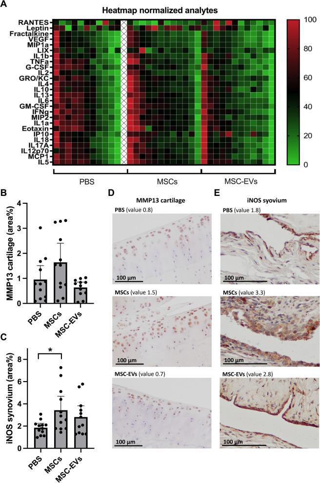 https://cdn.ncbi.nlm.nih.gov/pmc/blobs/8373/10210425/f8f43bb1226d/13287_2023_3368_Fig4_HTML.jpg