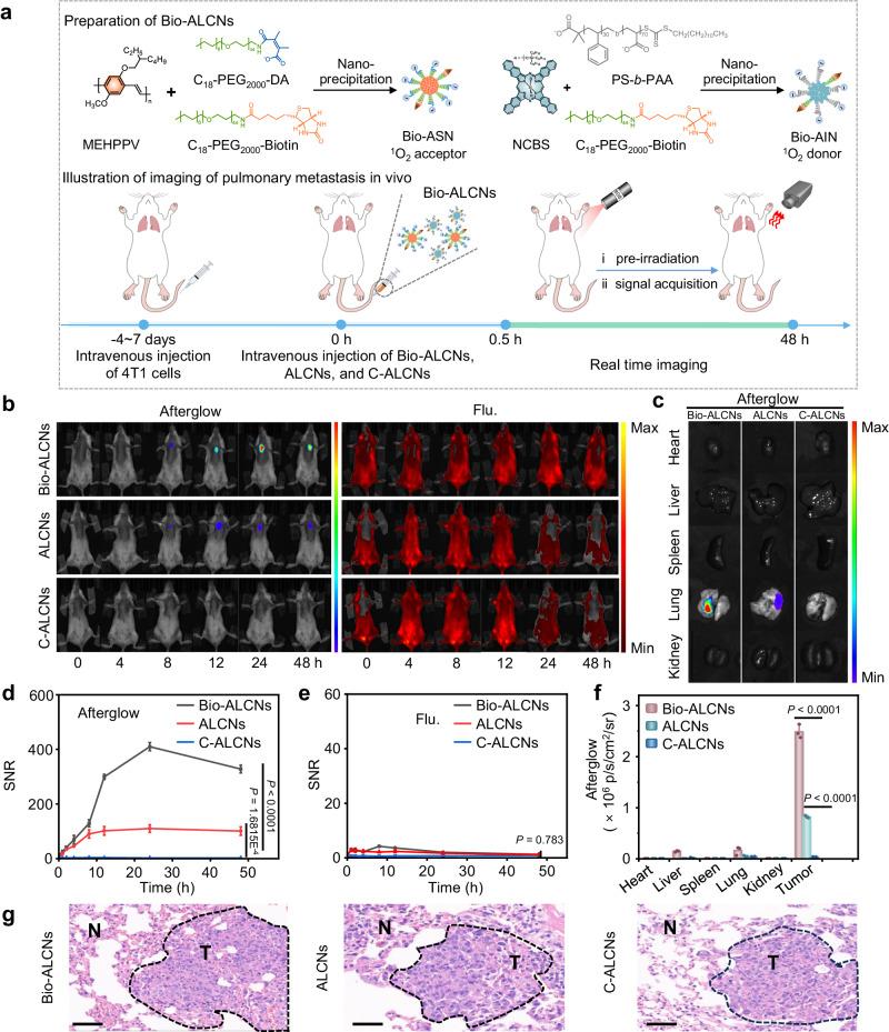 https://cdn.ncbi.nlm.nih.gov/pmc/blobs/8374/10923940/69b1226ce21e/41467_2024_46436_Fig6_HTML.jpg