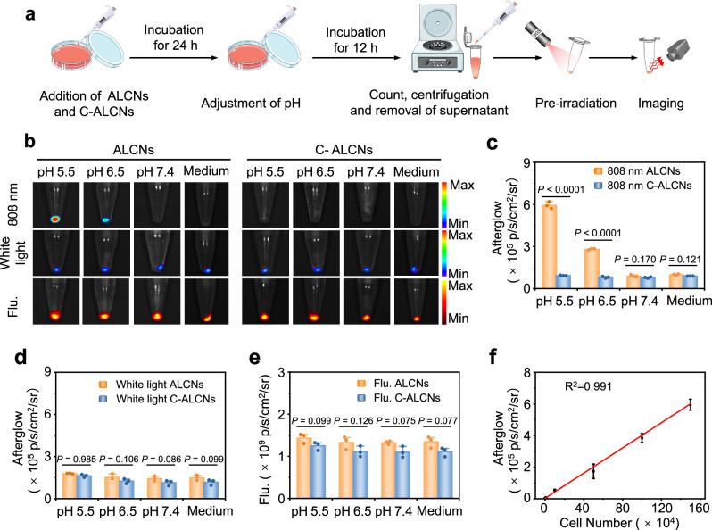 https://cdn.ncbi.nlm.nih.gov/pmc/blobs/8374/10923940/cf0a9eb27e7e/41467_2024_46436_Fig3_HTML.jpg