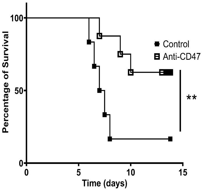 https://cdn.ncbi.nlm.nih.gov/pmc/blobs/8374/12197644/919a887385f3/vaccines-13-00602-g002.jpg