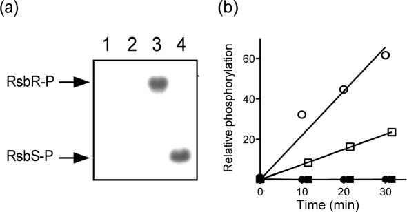 https://cdn.ncbi.nlm.nih.gov/pmc/blobs/8374/3068687/ea29e7849719/2660fig2.jpg