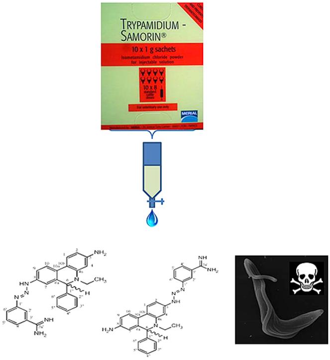 https://cdn.ncbi.nlm.nih.gov/pmc/blobs/8374/6356087/f8336b96b7c3/fx1.jpg